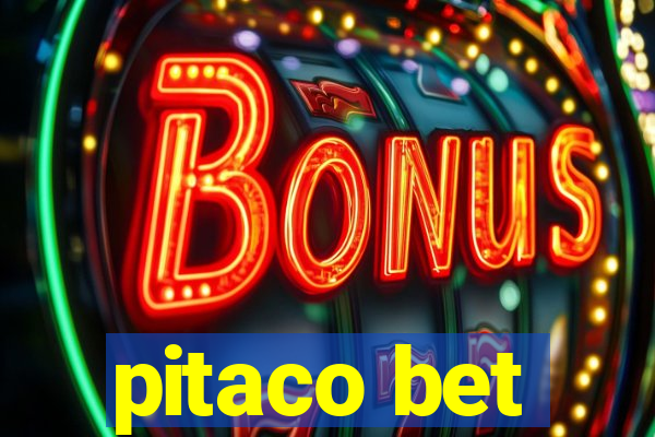 pitaco bet